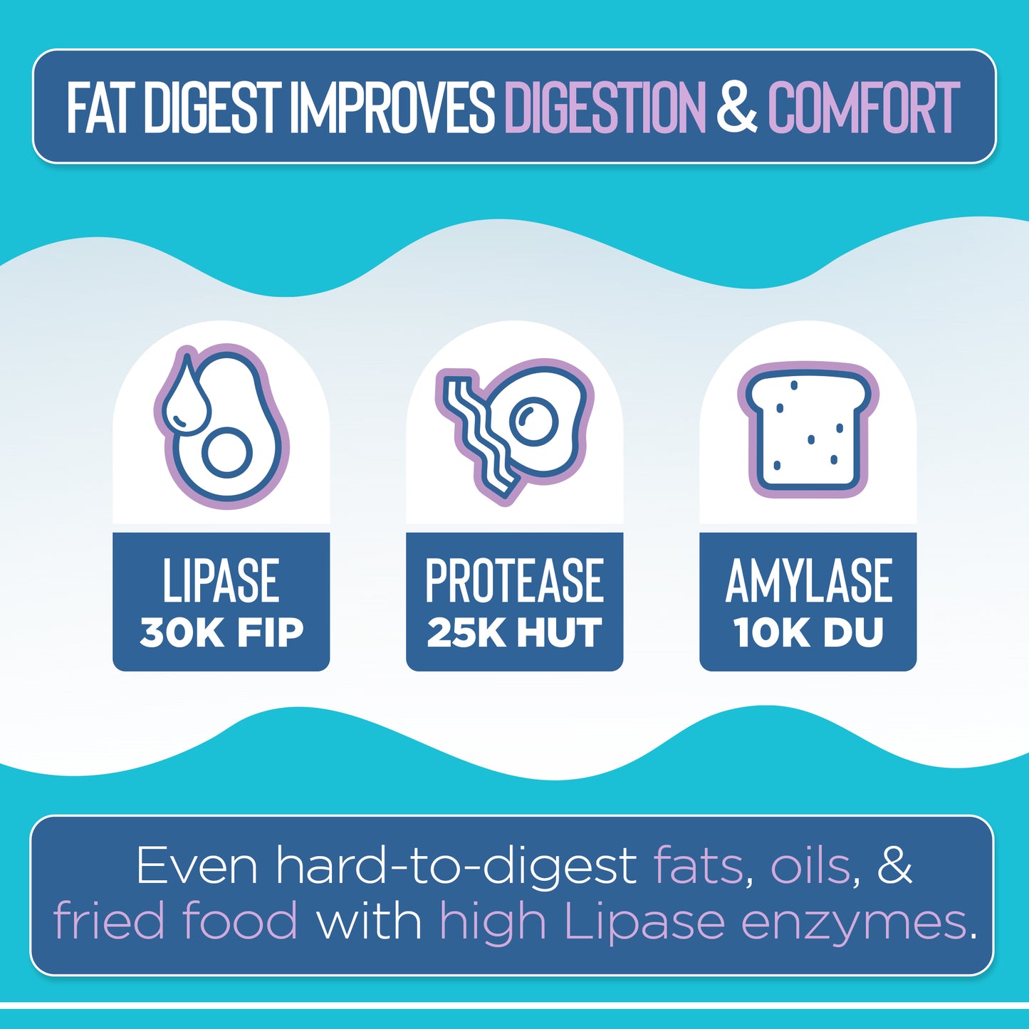 Diagram of digestive enzymes with lipase, protease, and amylase icons and their respective activities on a blue background.