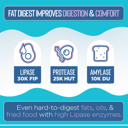 Diagram of digestive enzymes with lipase, protease, and amylase icons and their respective activities on a blue background.