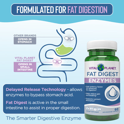 Vital Planet Fat Digest Enzymes supplement bottle with digestive system diagram on a blue background