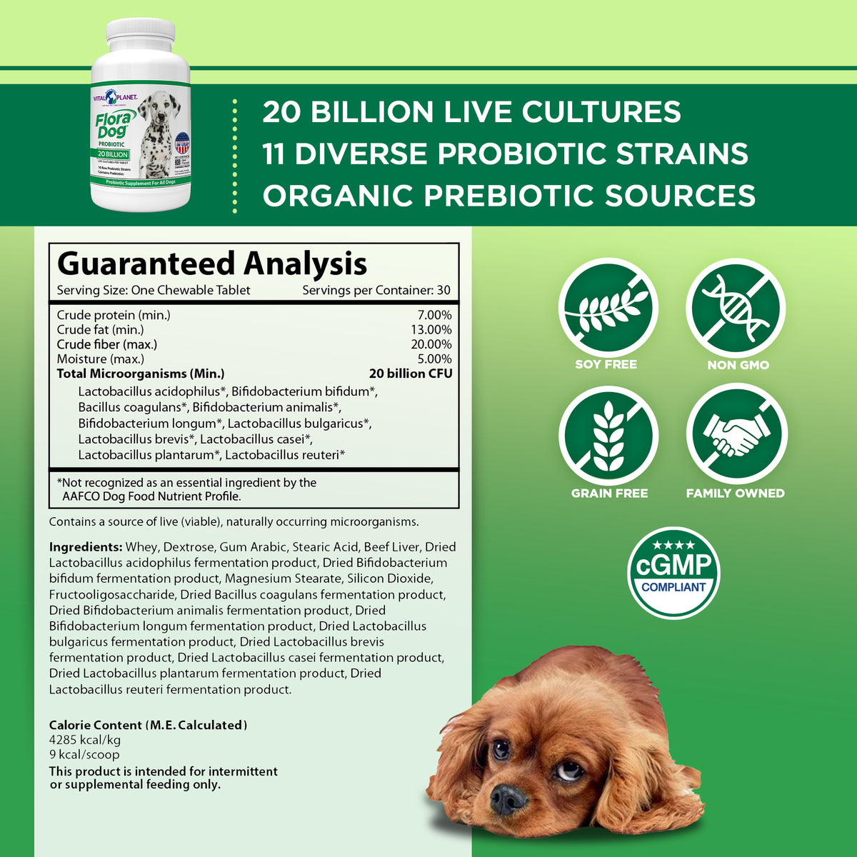 Flora Dog High Potency Probiotic supplement facts and guaranteed analysis with dog illustration