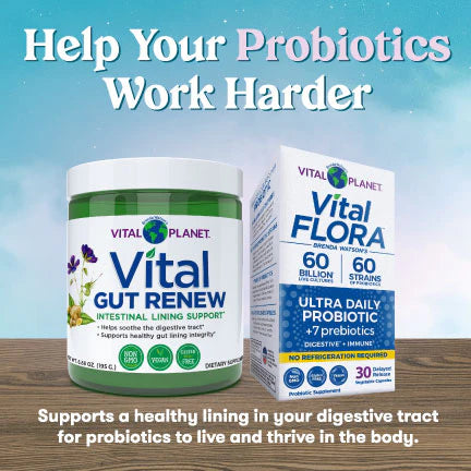 Vital Gut Renew Powder - Vital Planet – Vital Planet Shop