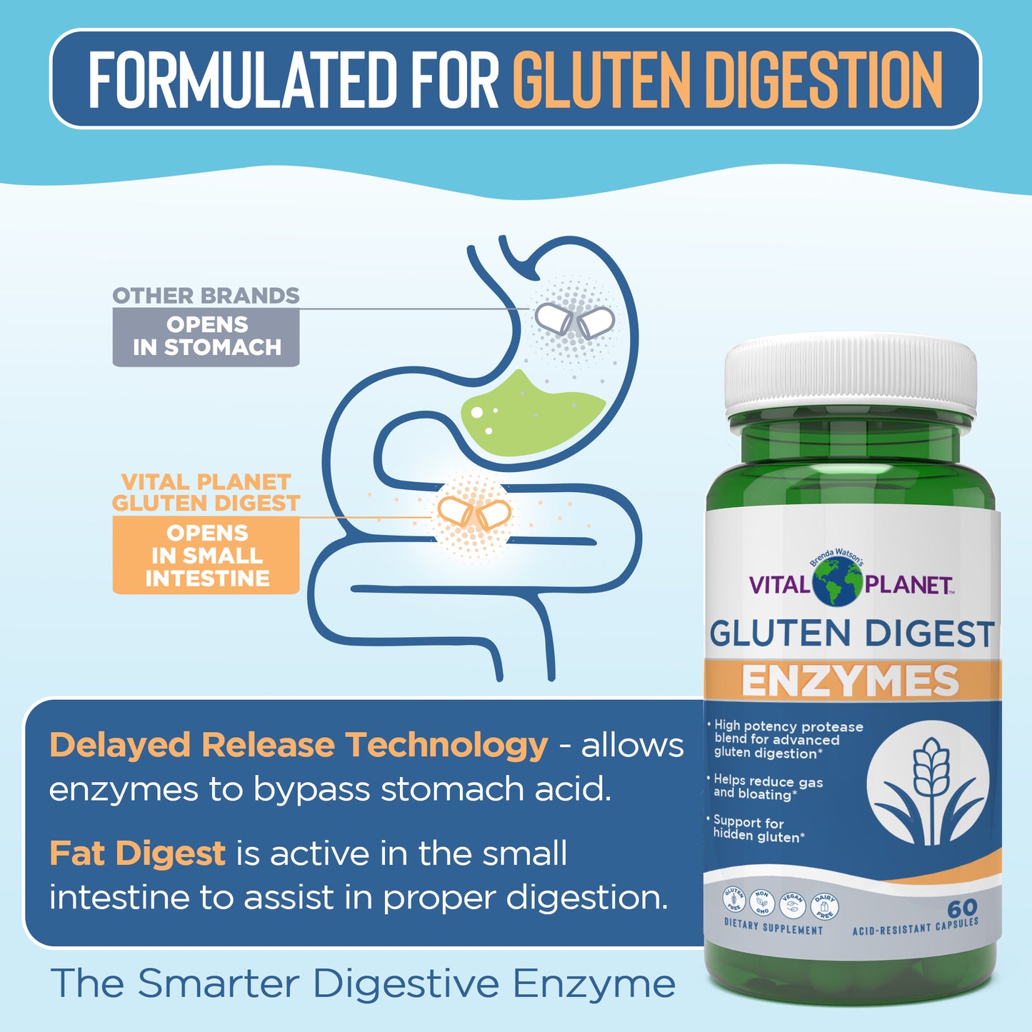 Vital Planet Gluten Digest Enzymes supplement bottle with digestive system diagram on a blue background