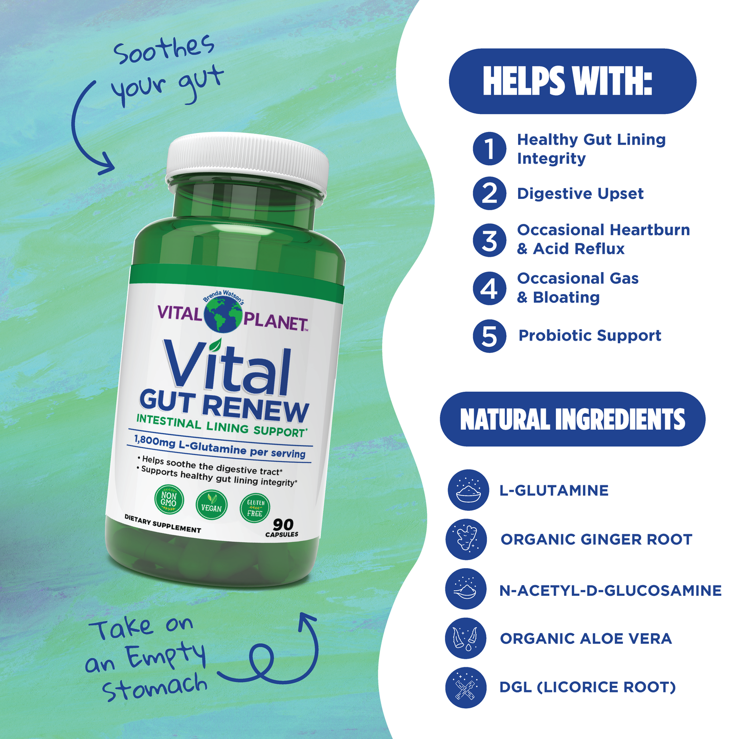 Vital Planet Gut Renew supplement bottle with benefits listed on a green and blue gradient background