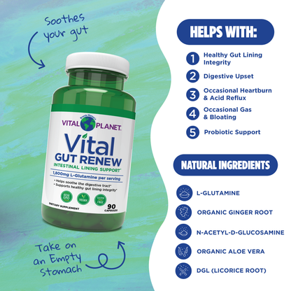 Vital Planet Gut Renew supplement bottle with benefits listed on a green and blue gradient background