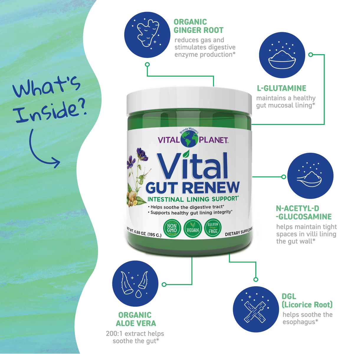 Vital Gut Renew Powder - Vital Planet – Vital Planet Shop