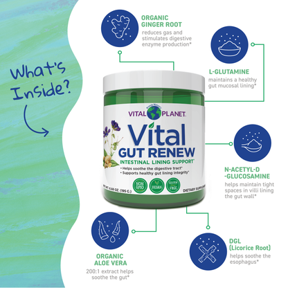 Vital GUT RENEW™ - Leaky Gut Repair - Powder