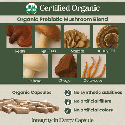Organic Flora Gut Balance Supplement