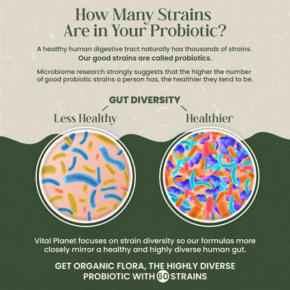 Organic Flora Gut Balance Supplement