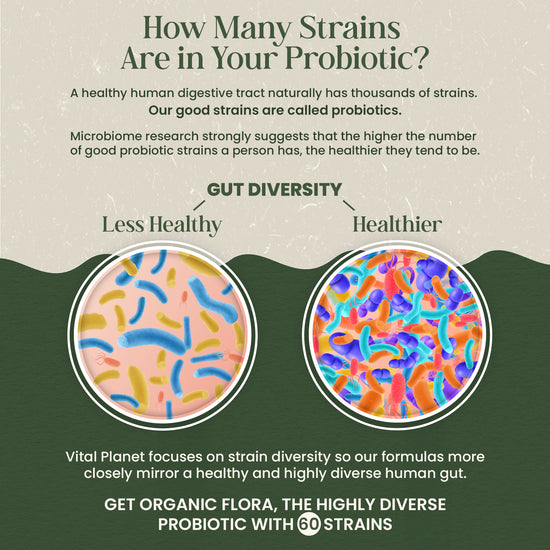 Organic Flora Senior’s Daily Probiotic Supplement – Vital Planet Shop