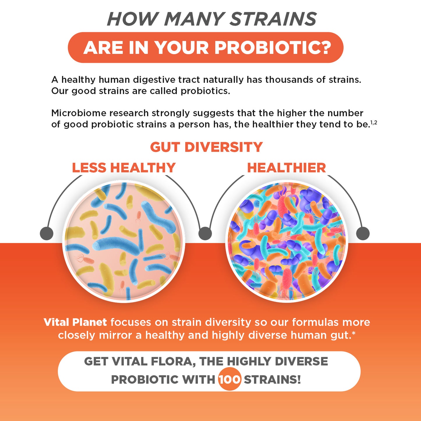 Vital Flora Advanced Biome Probiotic - 30ct