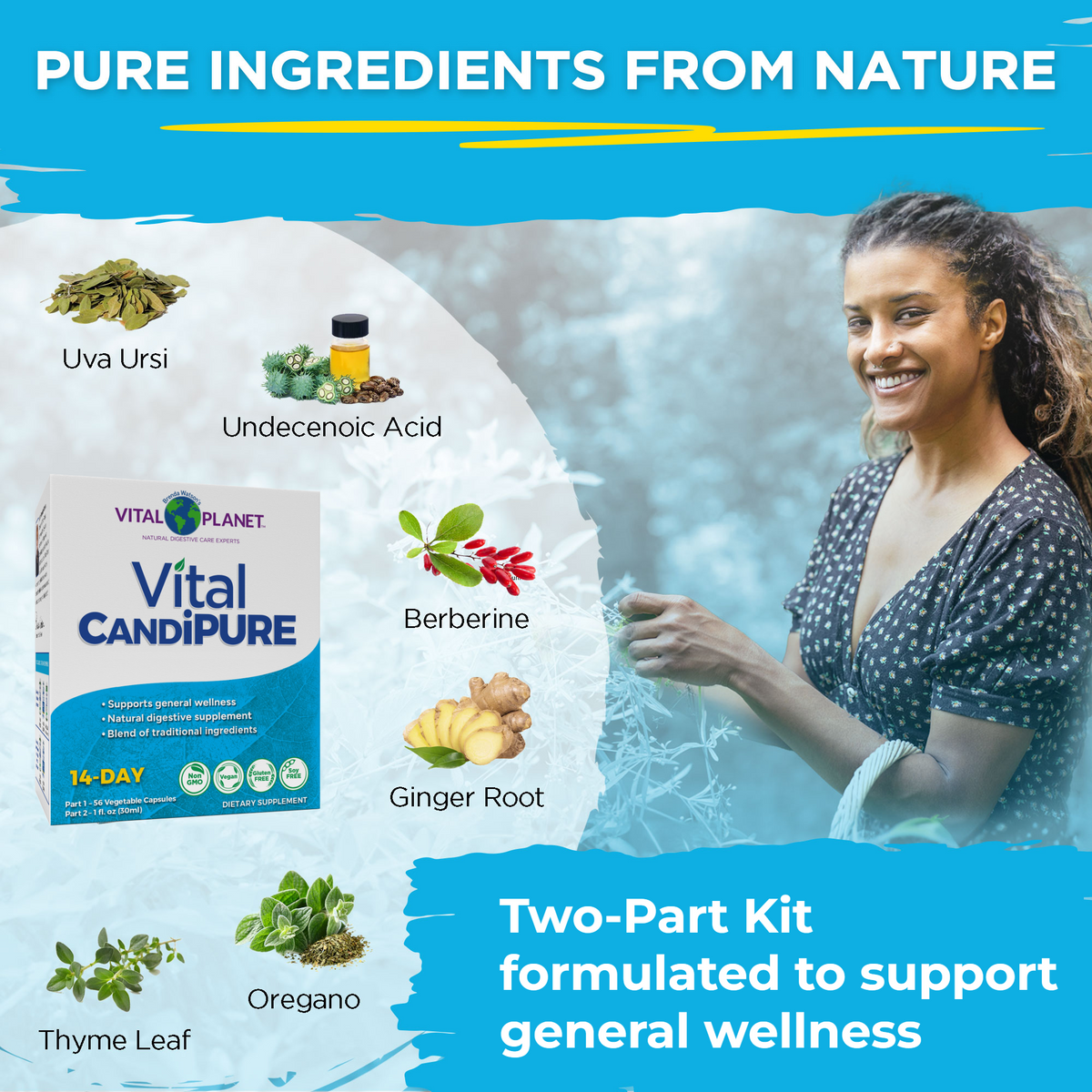 Vital CandiPURE ingredients including uva ursi, berberine, ginger root, oregano and thyme leaf