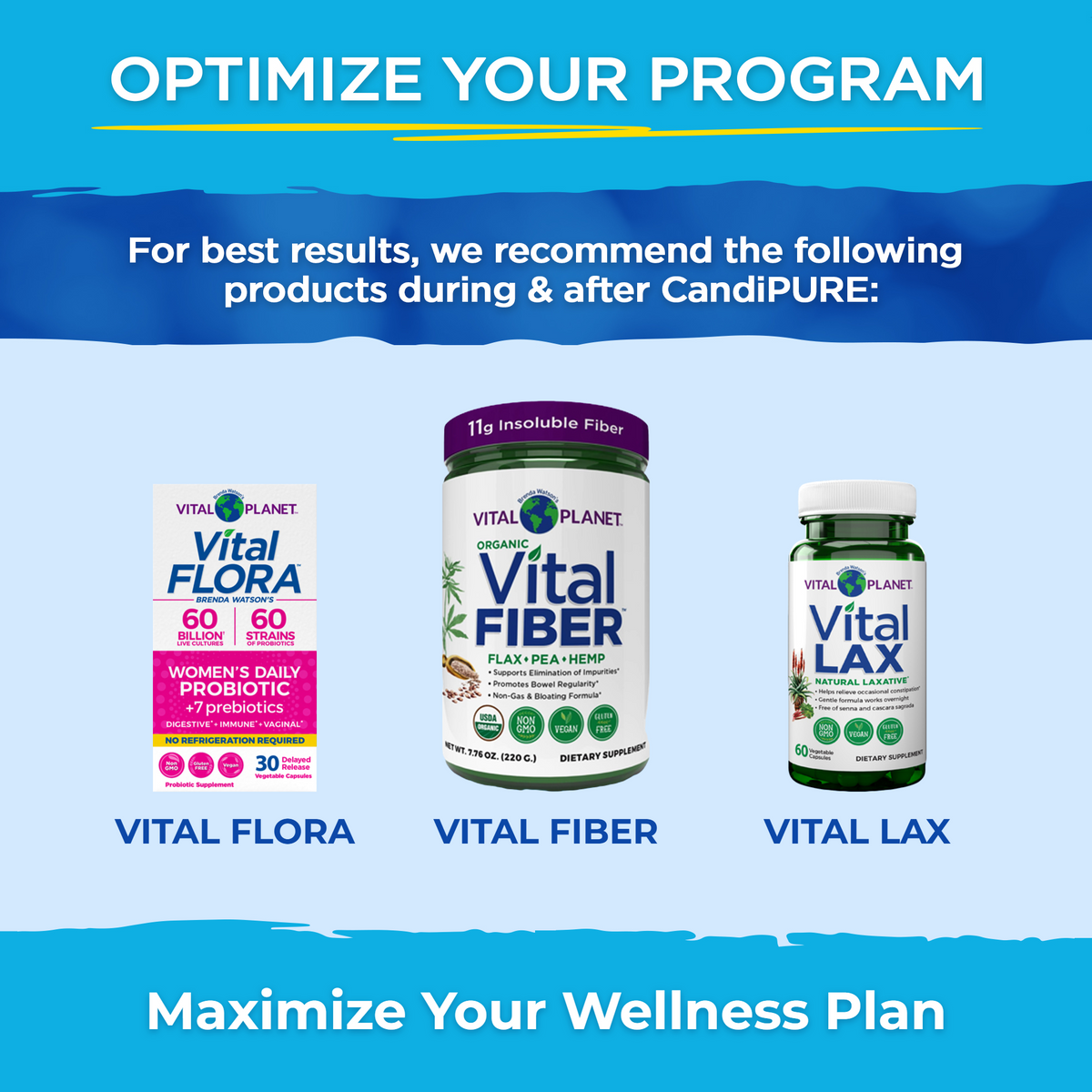 Vital Flora, Vital Fiber and Vital Lax, recommended alongside Vital CandiPURE