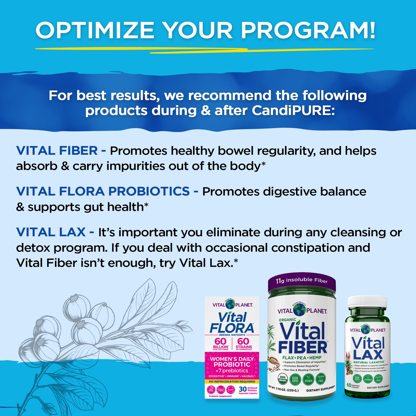Vital CandiPURE - 2-part Targeted Yeast Cleanse