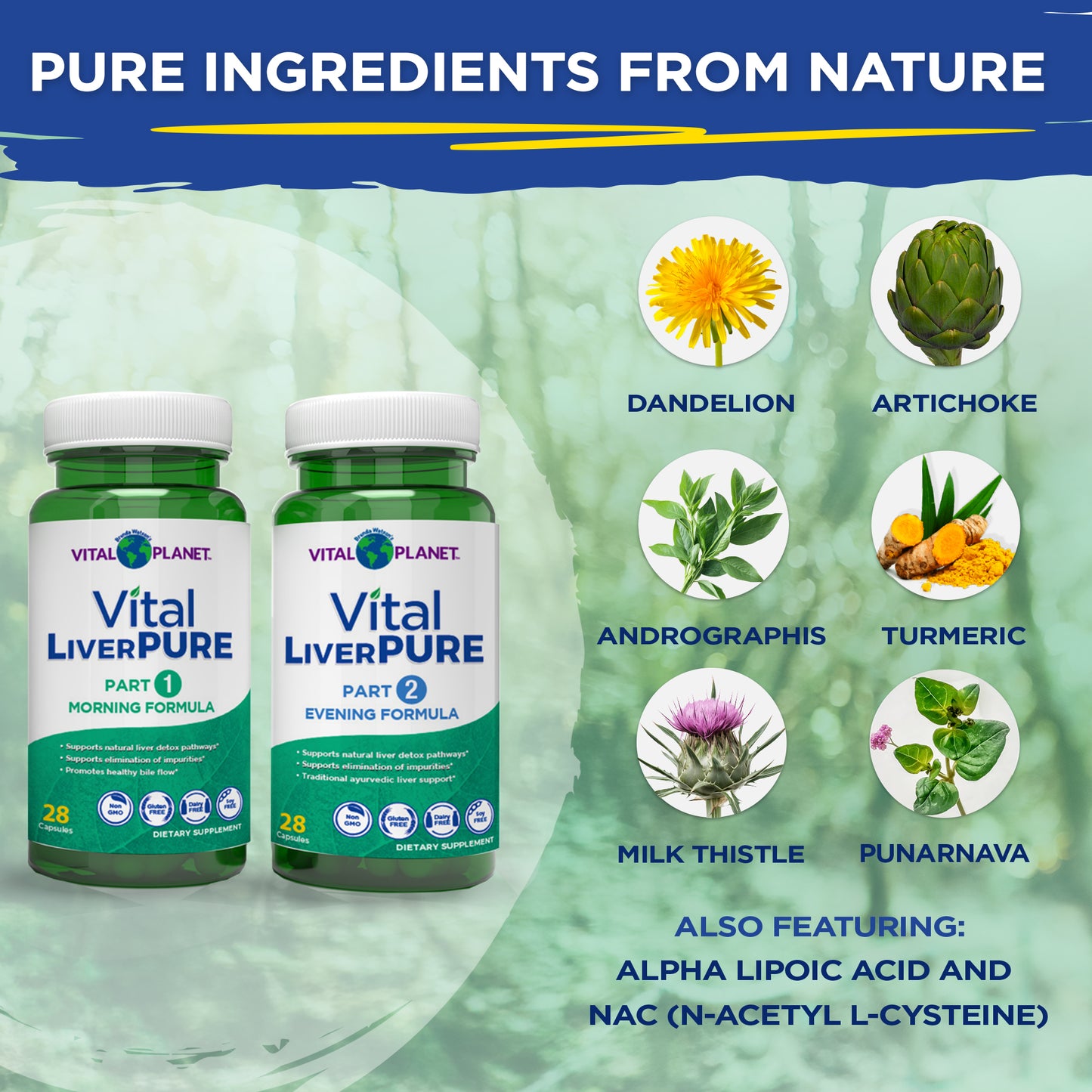 Vital LiverPURE 2-Part, 14-Day Kit