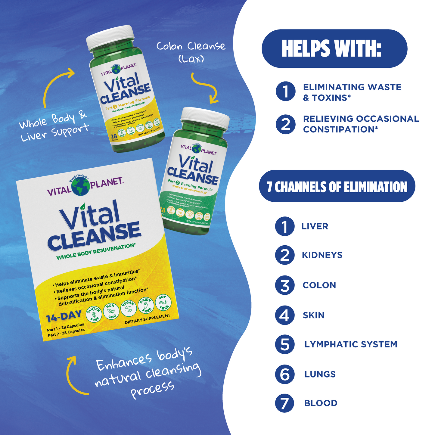 Vital Cleanse - Programa de rejuvenecimiento corporal completo