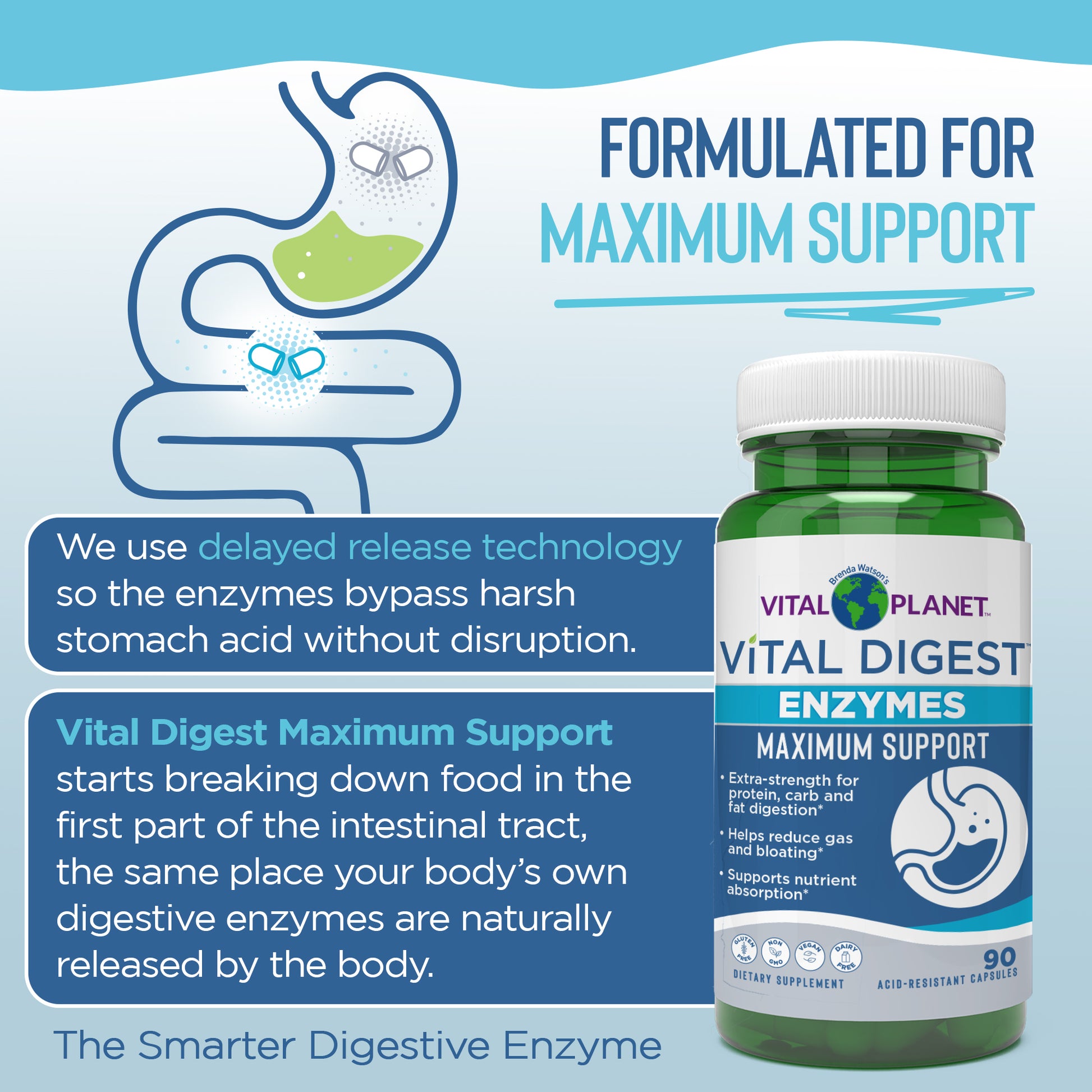 Vital Planet Vital Digest Enzymes Maximum Support supplement bottle with text on a blue background
