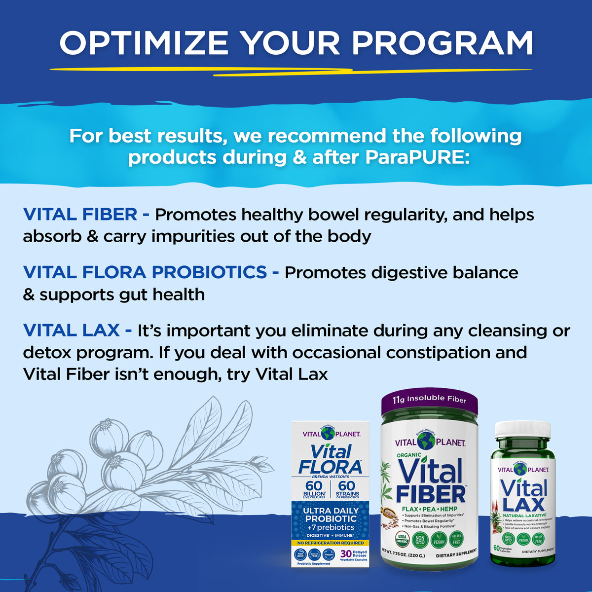 Vital ParaPure – Vital Planet Shop