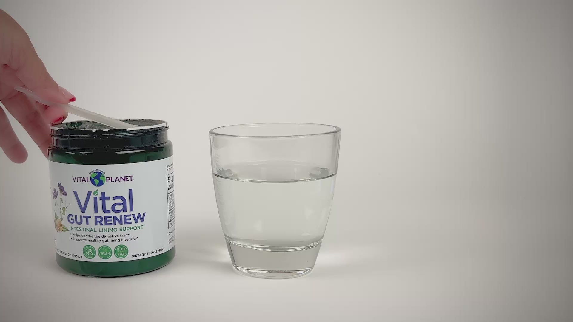 Vital Gut Renew Powder - Vital Planet – Vital Planet Shop